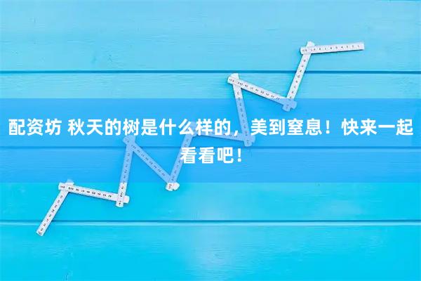 配资坊 秋天的树是什么样的，美到窒息！快来一起看看吧！