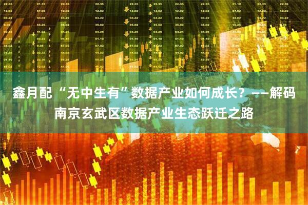 鑫月配 “无中生有”数据产业如何成长？——解码南京玄武区数据产业生态跃迁之路