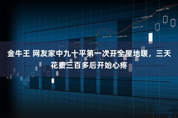 金牛王 网友家中九十平第一次开全屋地暖，三天花费三百多后开始心疼